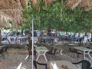 cafe-bar-taverna-o-sotiris-2020-1