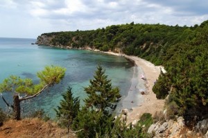 skala-5