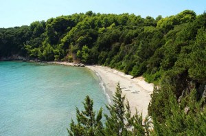 skala